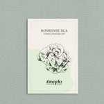 Romeinse sla 'Forellenschluss'-Angelo