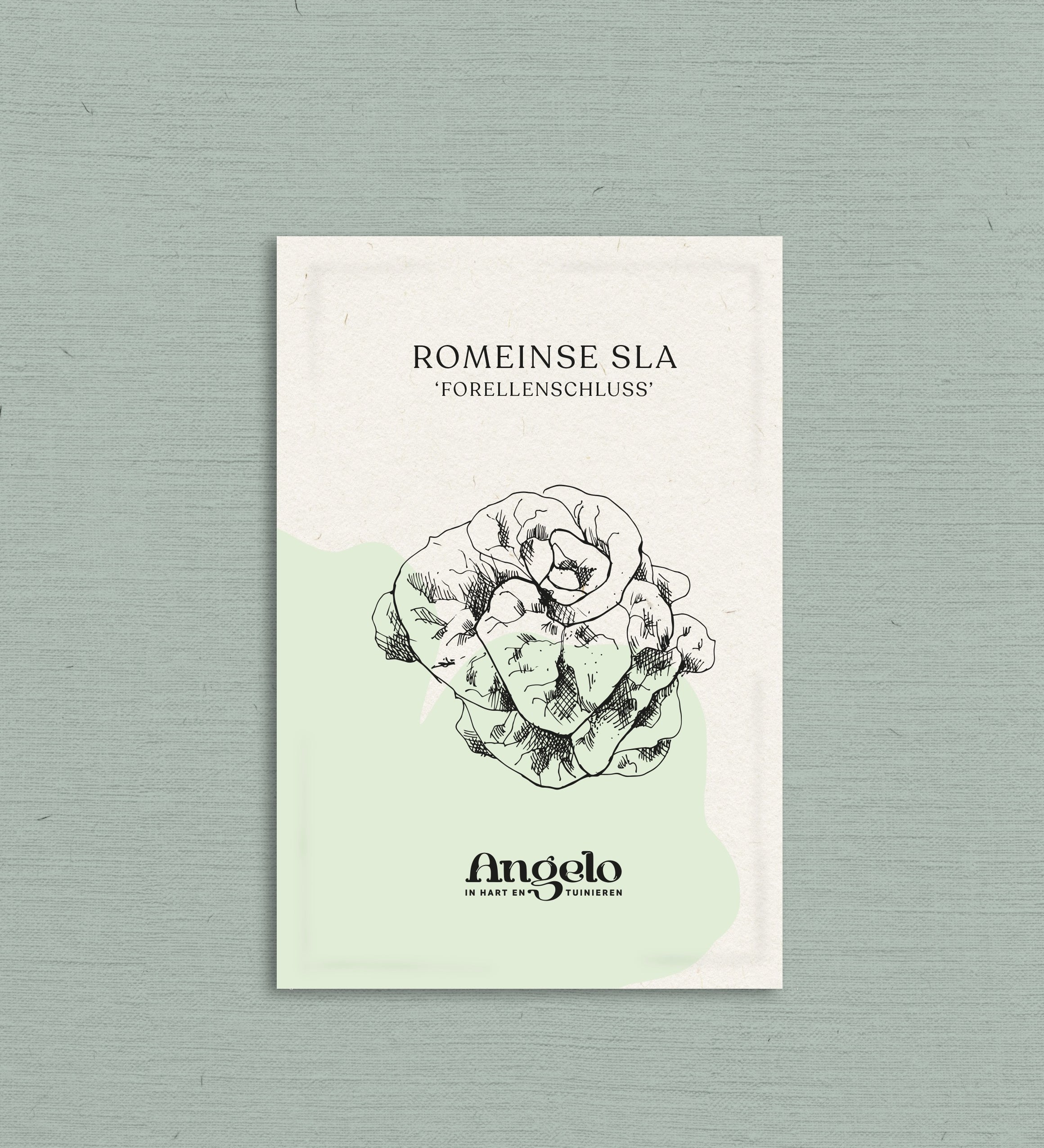 Romeinse sla 'Forellenschluss'-Angelo