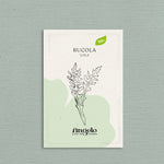 Rucola 'Lola'-Angelo