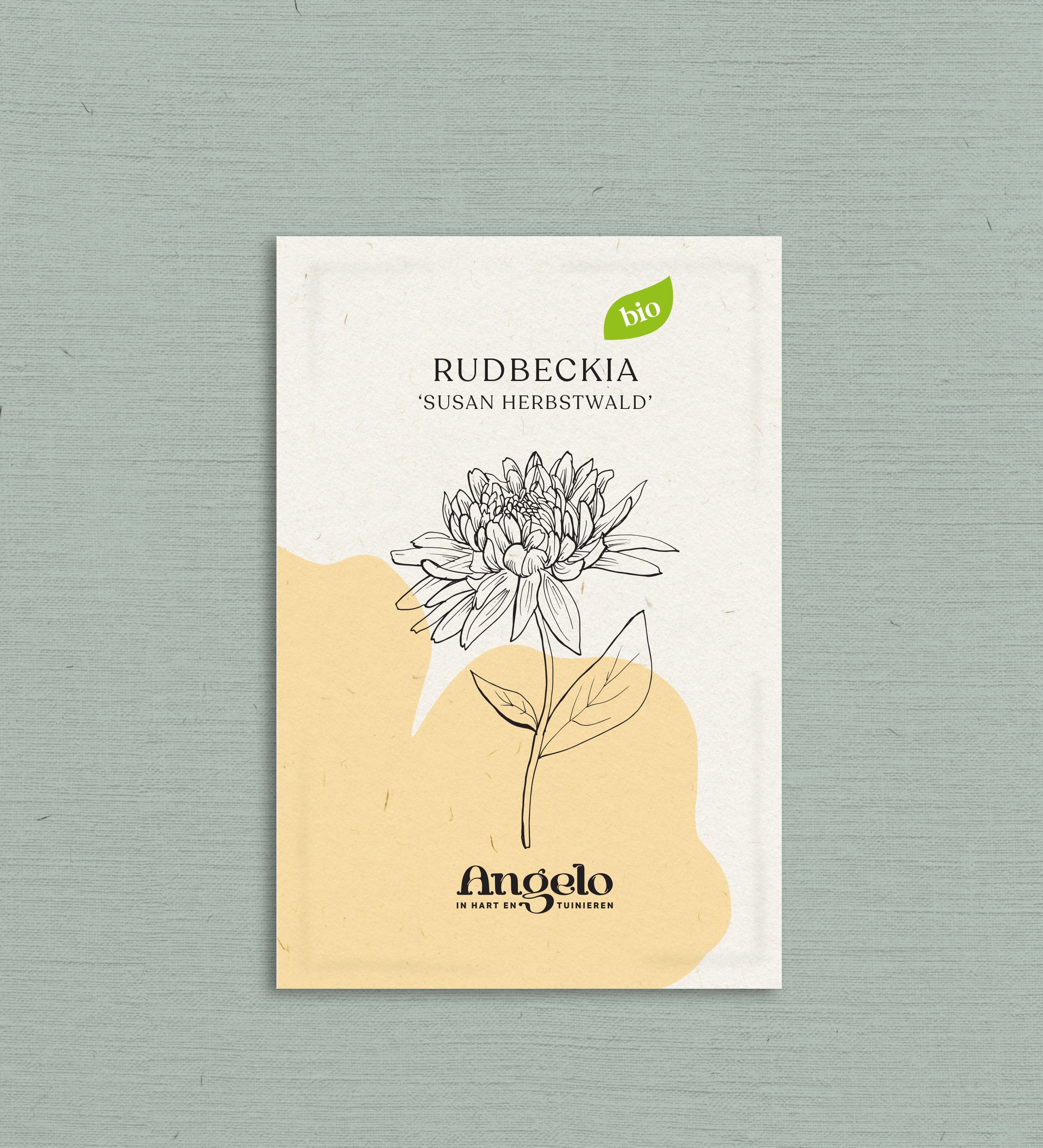 Rudbeckia hirta 'Susan Herbstwald'-Angelo