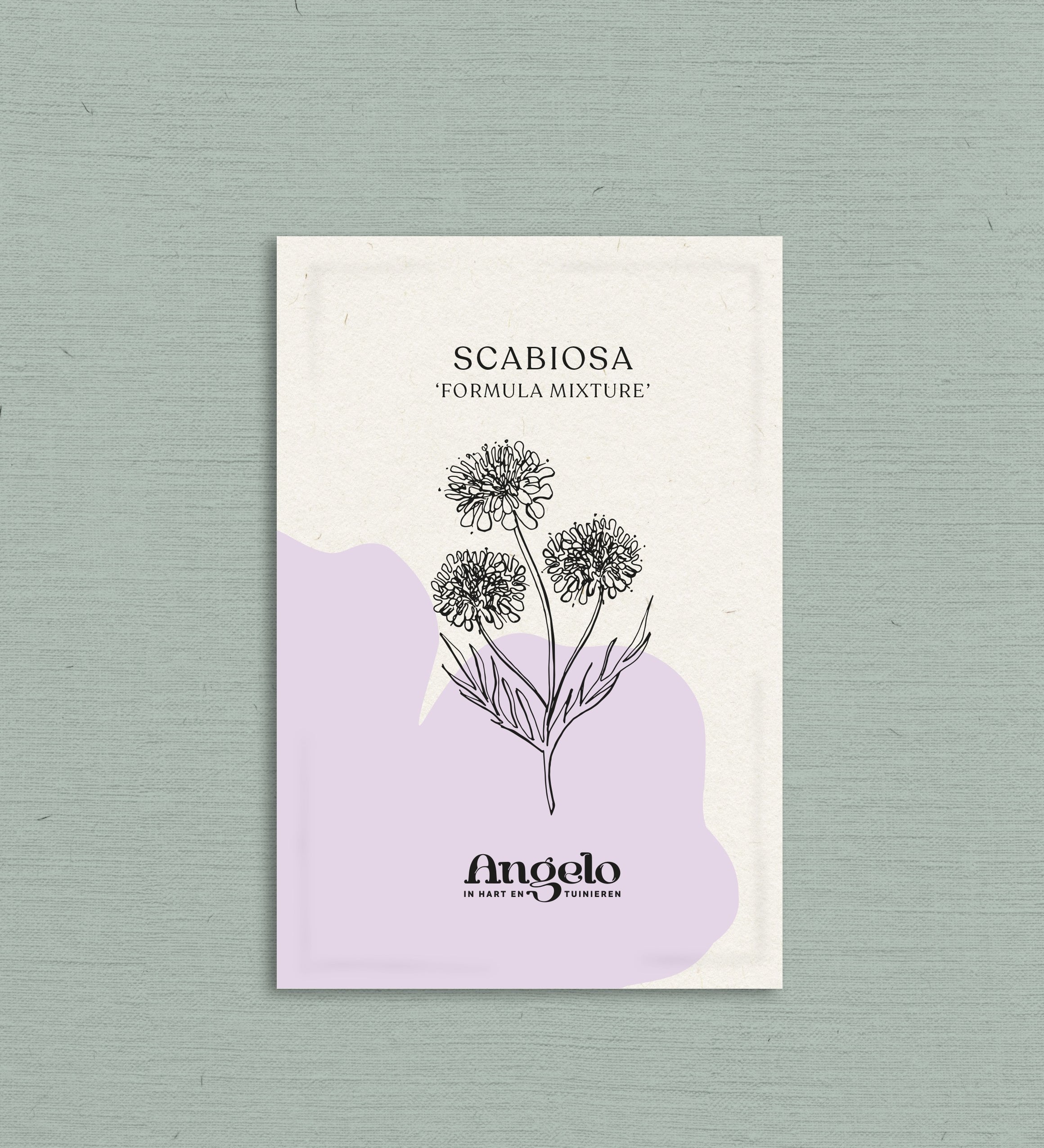Scabiosa atropurpurea 'formula mixture'-Angelo