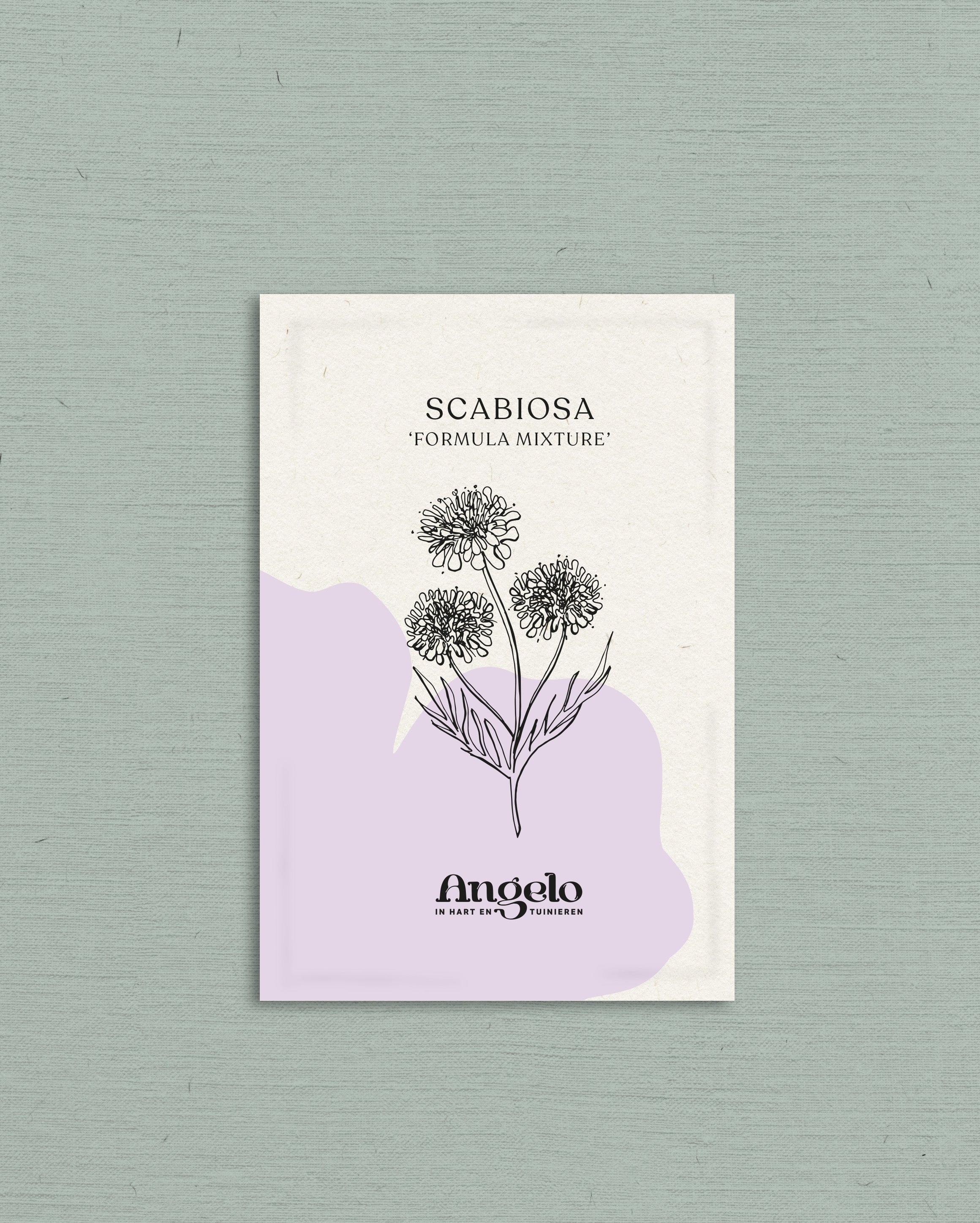Scabiosa atropurpurea 'formula mixture'-Angelo