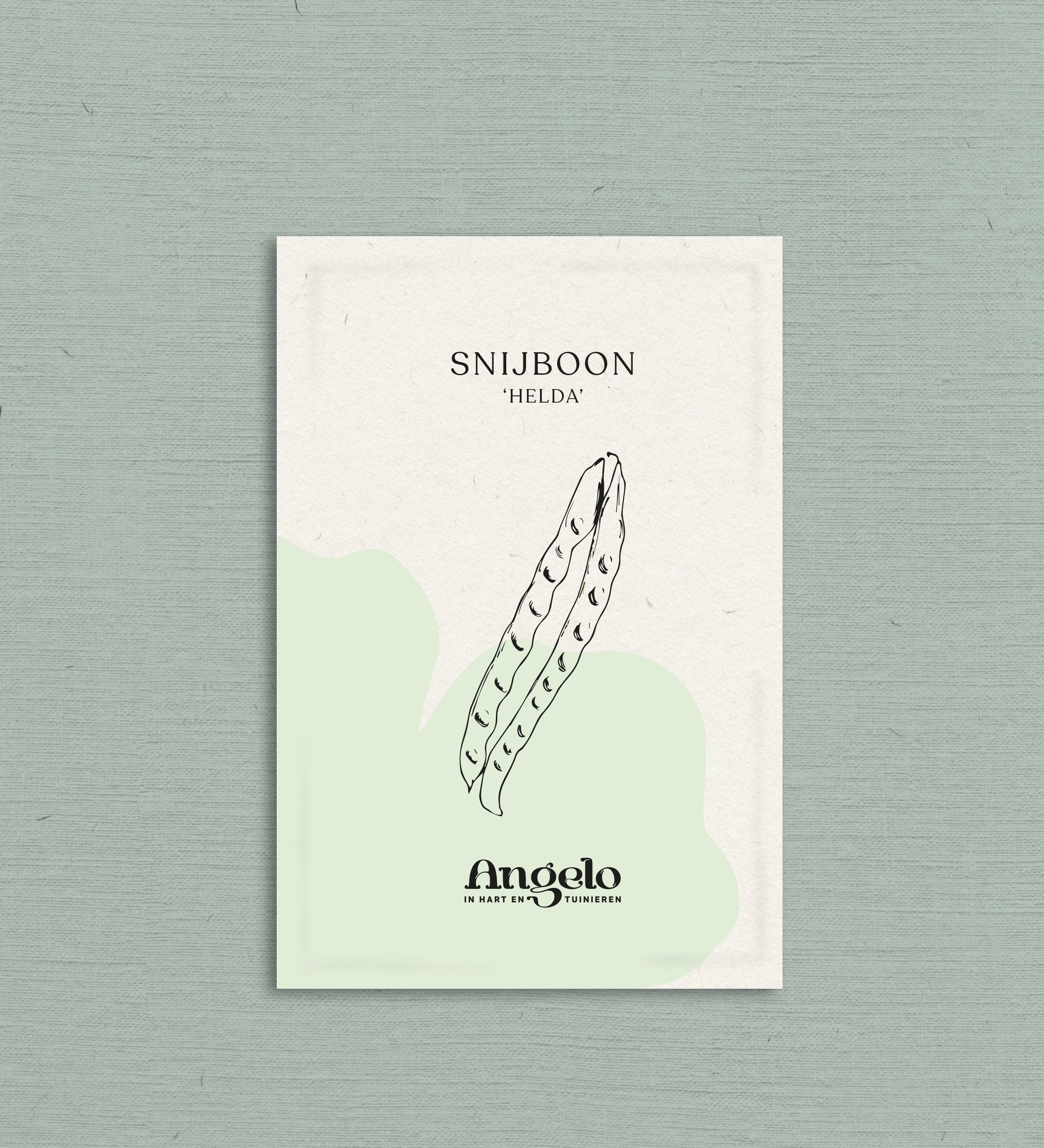 Snijboon 'Helda'-Angelo