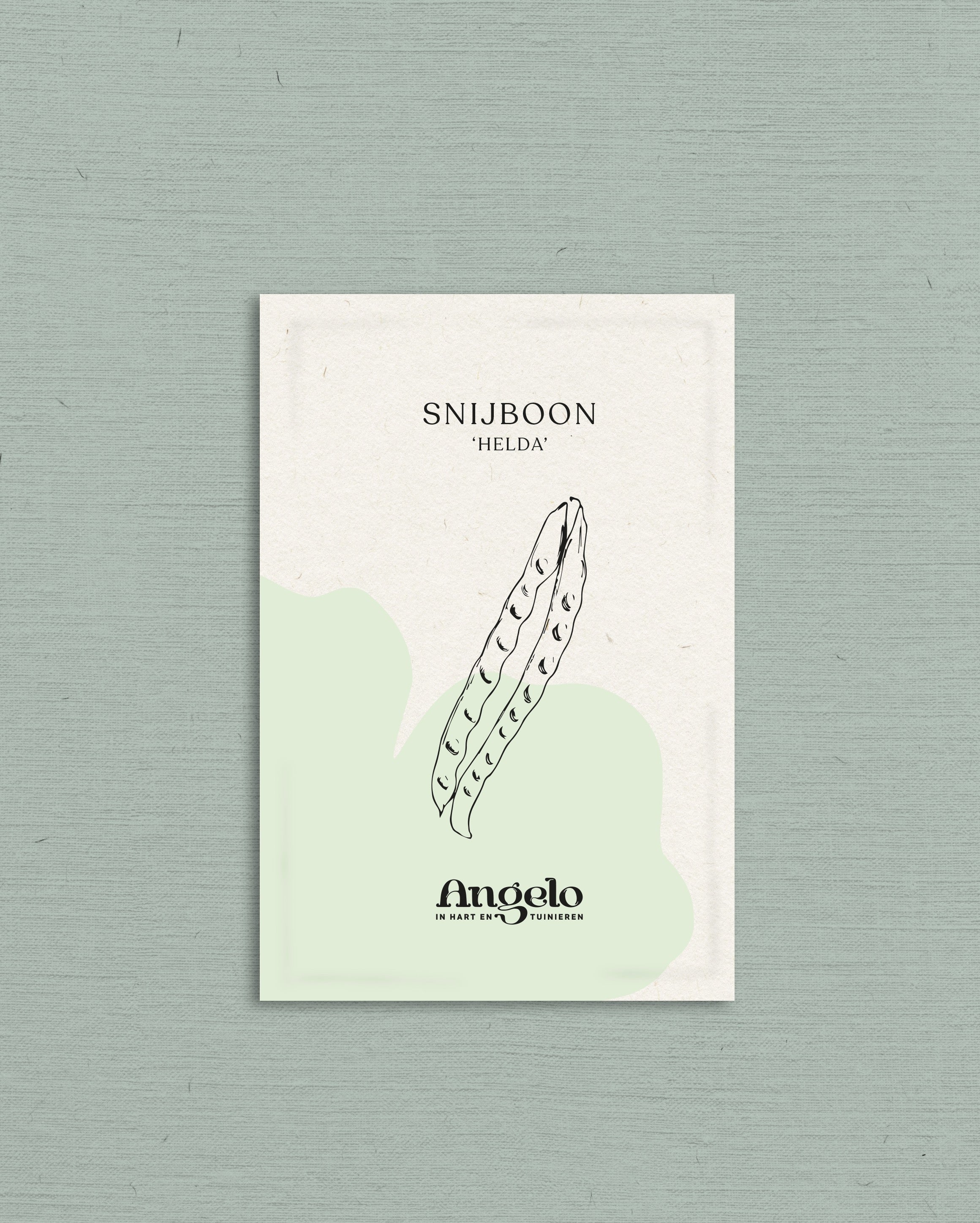 Snijboon 'Helda'-Angelo