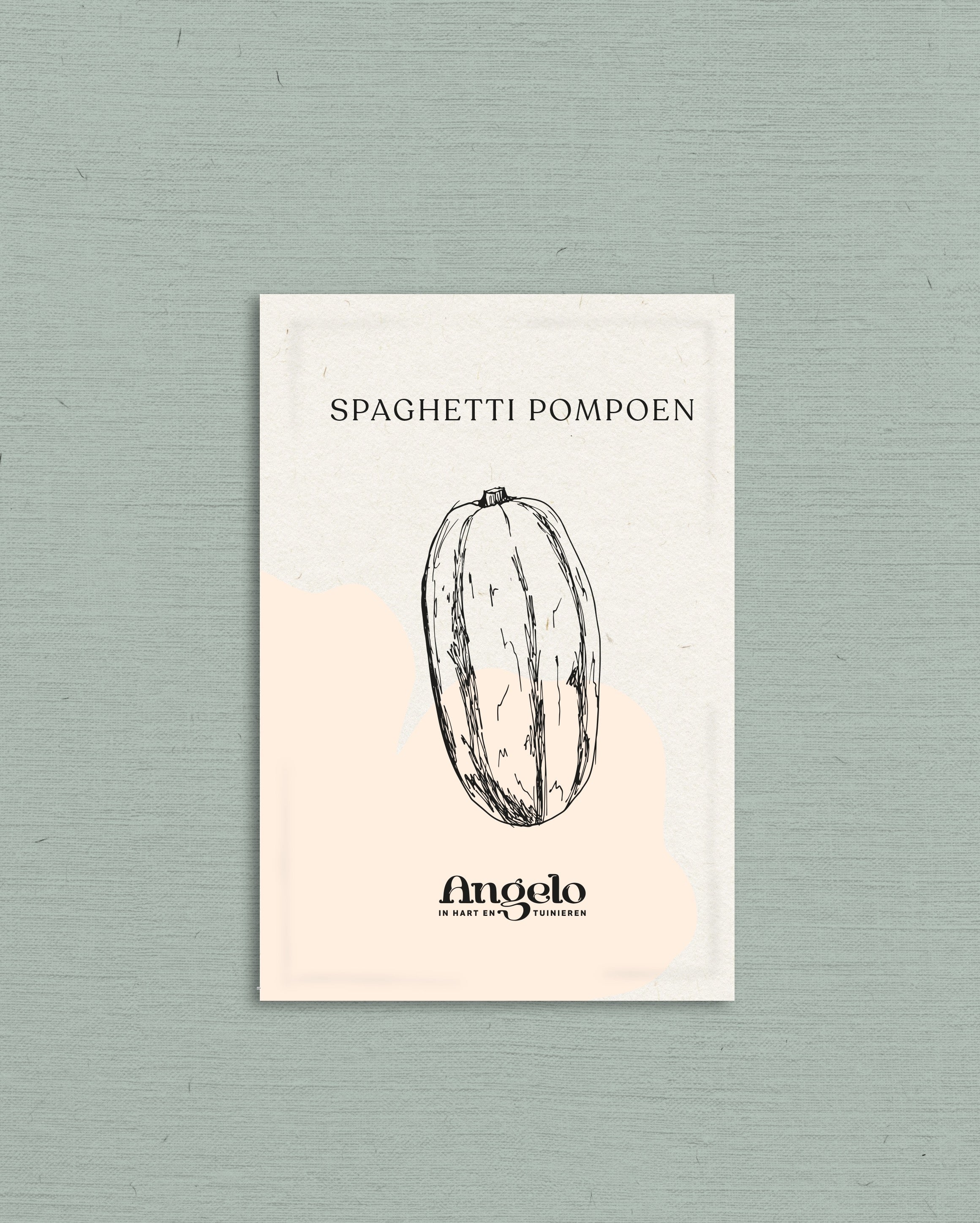 Spaghetti pompoen-Angelo