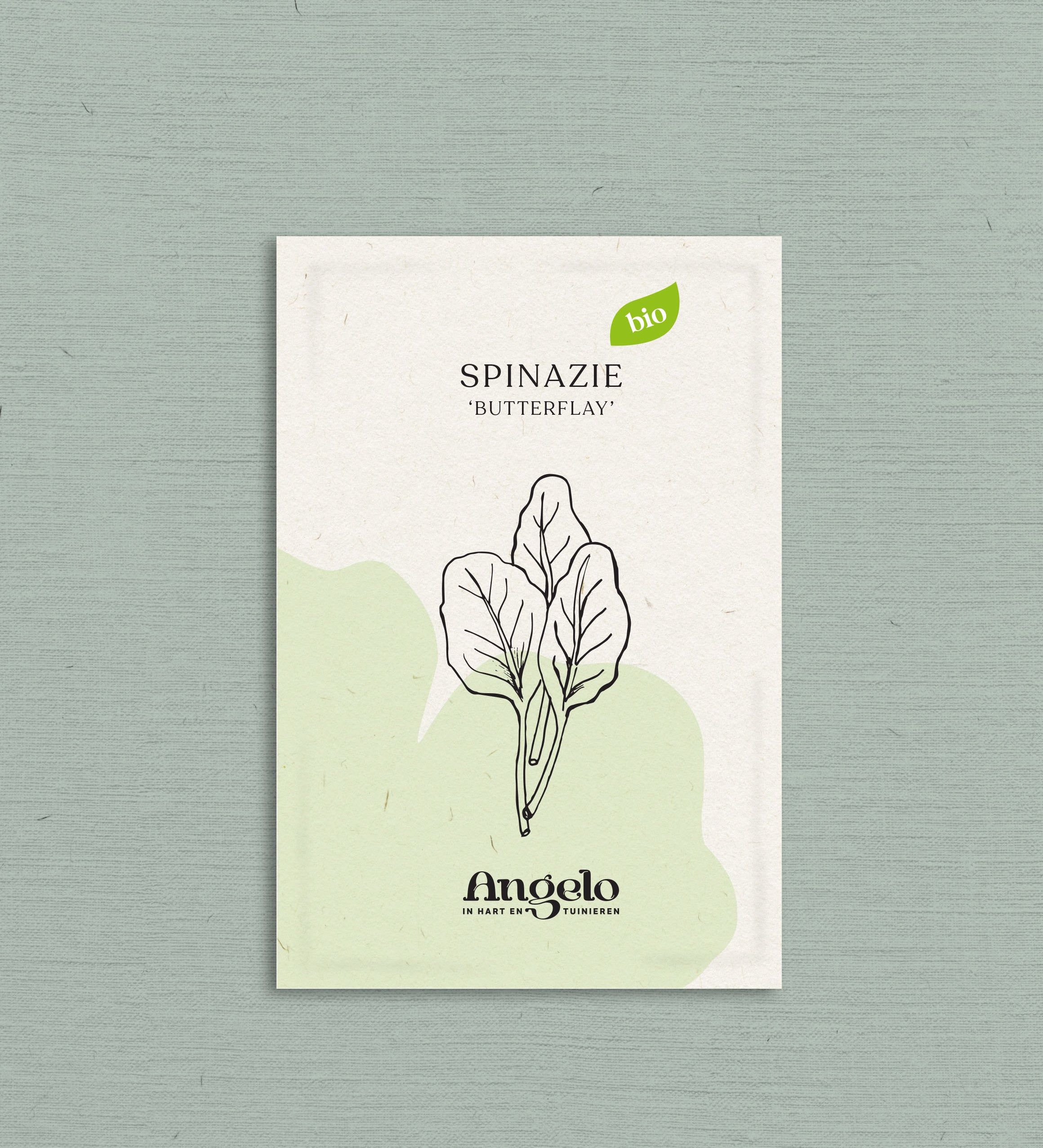 Spinazie 'Butterflay'-Angelo