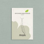 Sponskomkommer 'Luffa'-Angelo