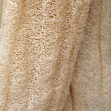 Sponskomkommer 'Luffa'-Angelo