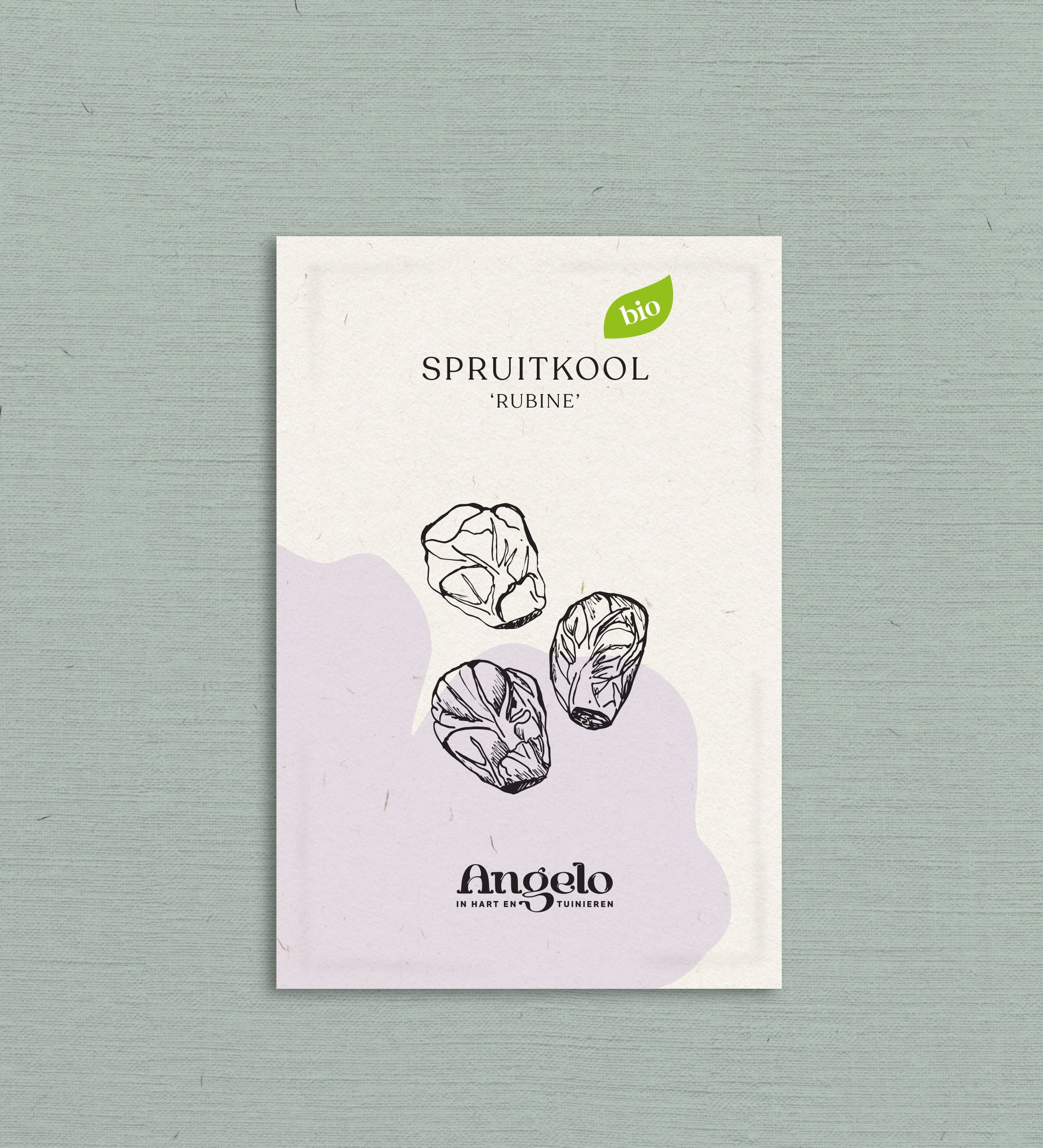 Spruitkool 'Rubine'-Angelo