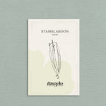 Stamslaboon 'Dior'-Angelo