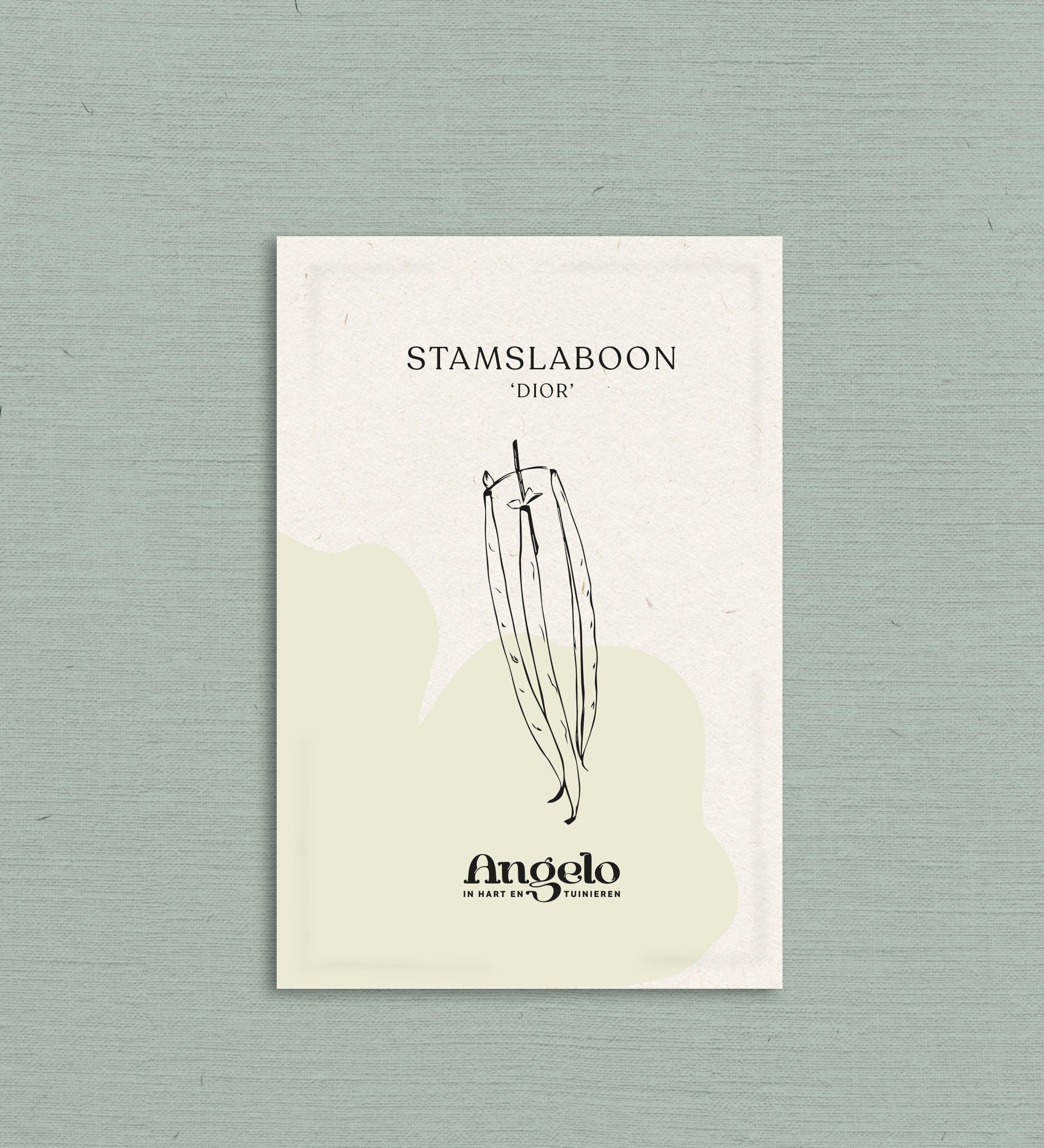 Stamslaboon 'Dior'-Angelo