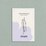 Struikboon 'Purple Queen'-Angelo