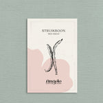 Struikboon 'Red Swan'-Angelo
