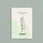 Struikboon 'Rugally'-Angelo