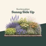 Borderpakket: Sunny Side Up