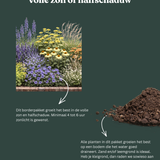 Borderpakket: Sunny Side Up