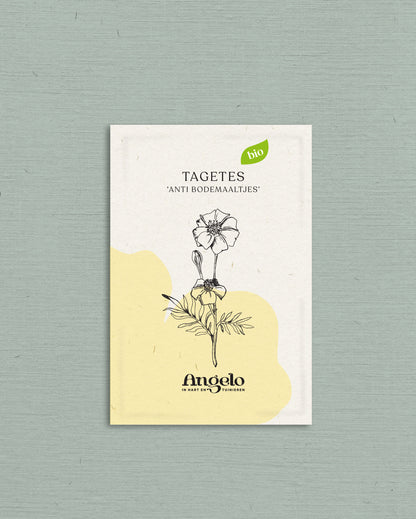 Tagetes patula &