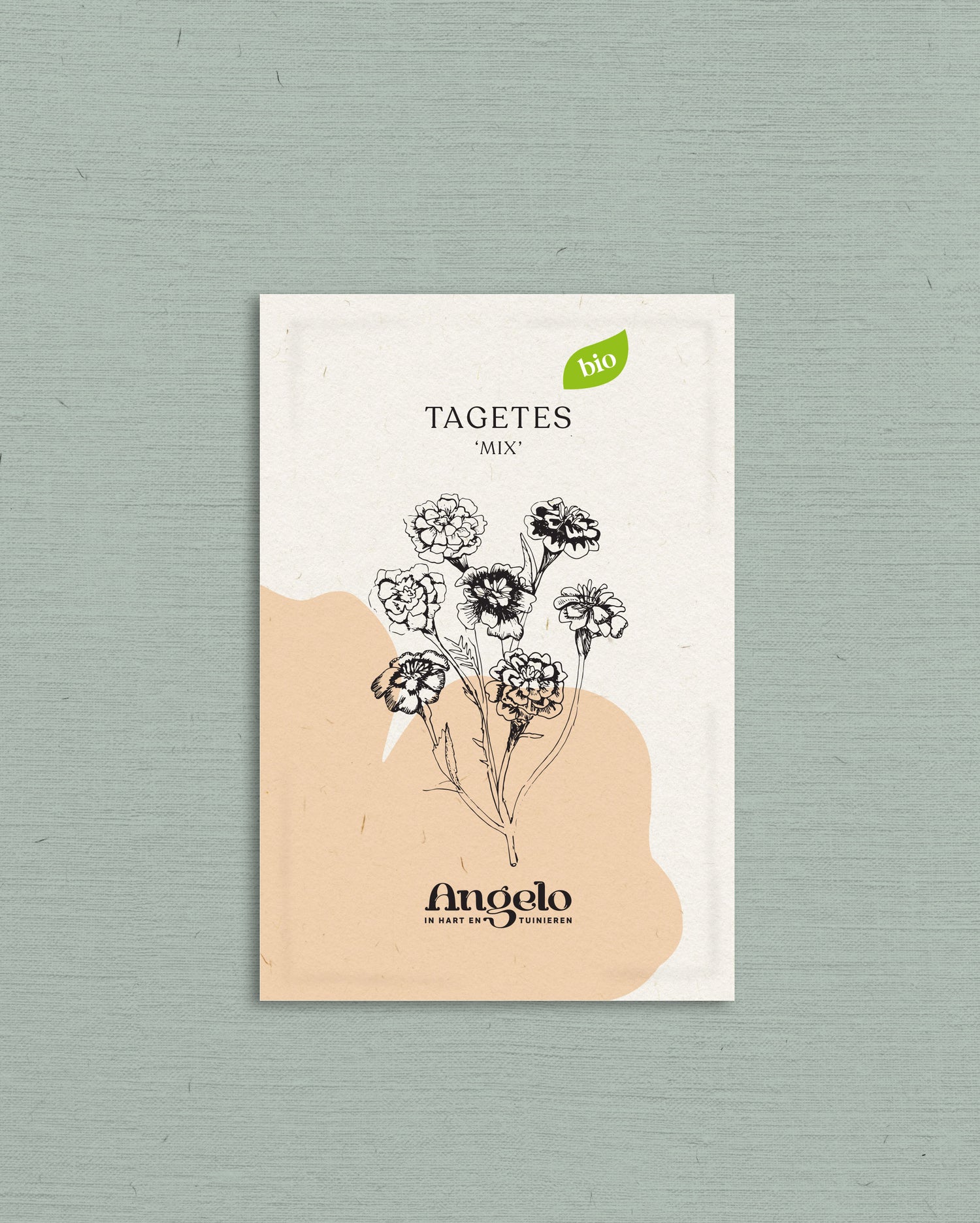 Tagetes erecta &