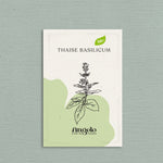 Thaïse basilicum-Angelo