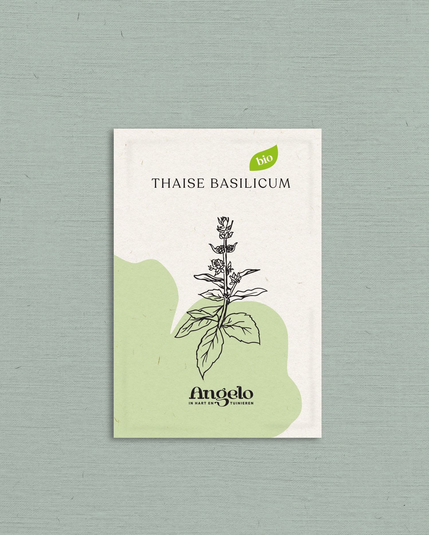 Thaïse basilicum-Angelo