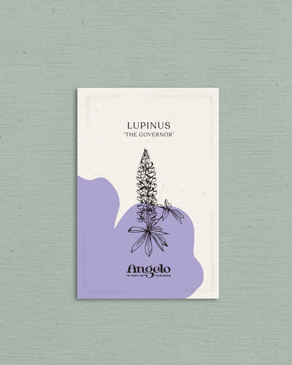 Lupinus polyphyllus &
