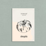 Tomaat 'Ananas'-Angelo