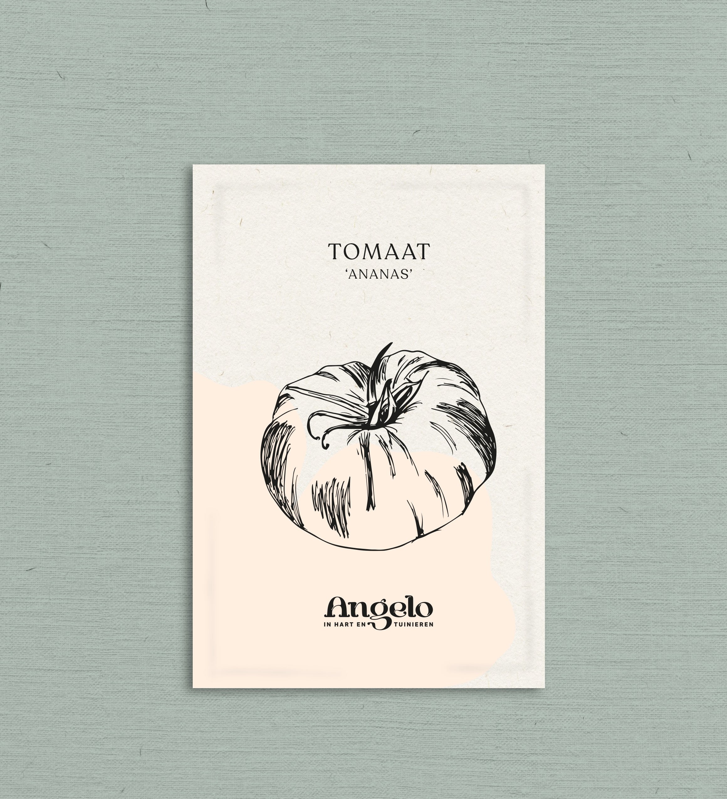 Tomaat 'Ananas'-Angelo