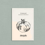 Tomaat 'Hawaiian Pineapple'-Angelo