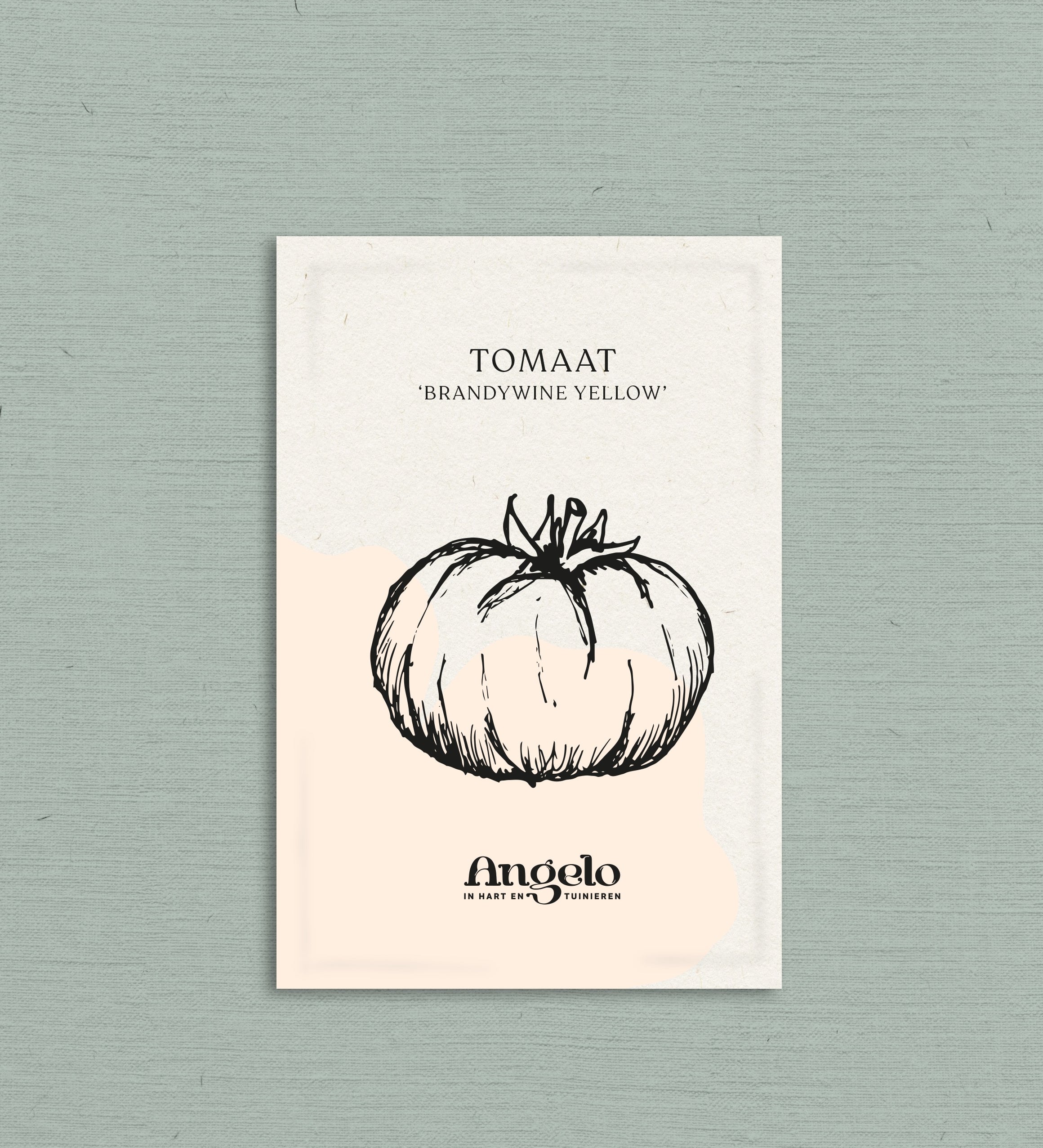 Tomaat 'Brandywine Yellow'-Angelo