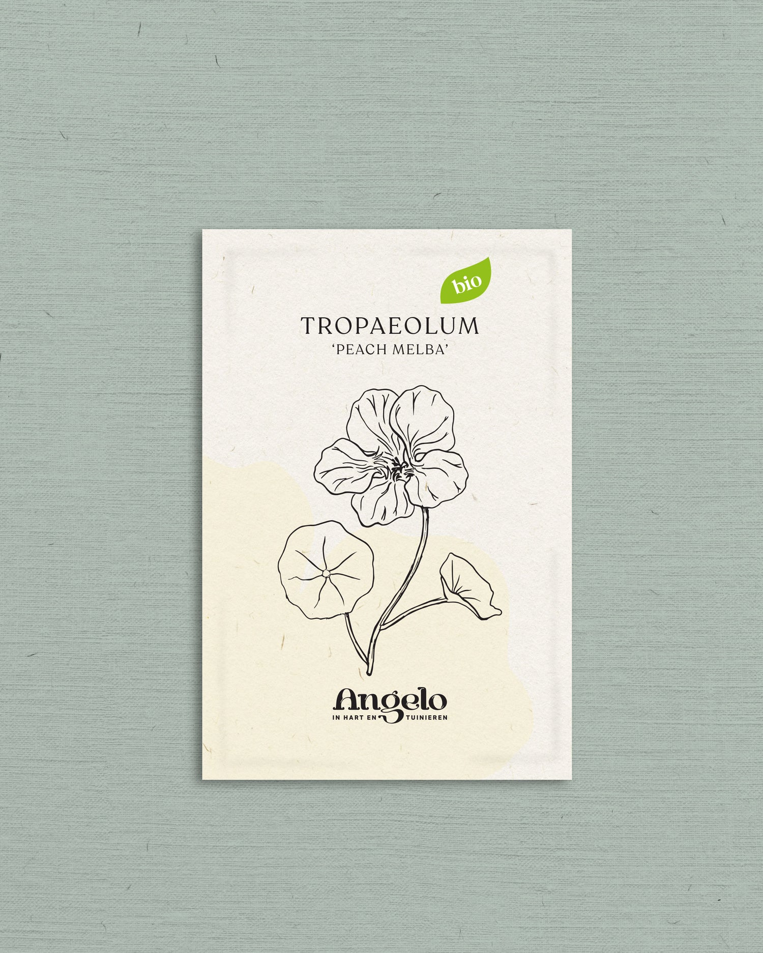 Tropaeolum majus &