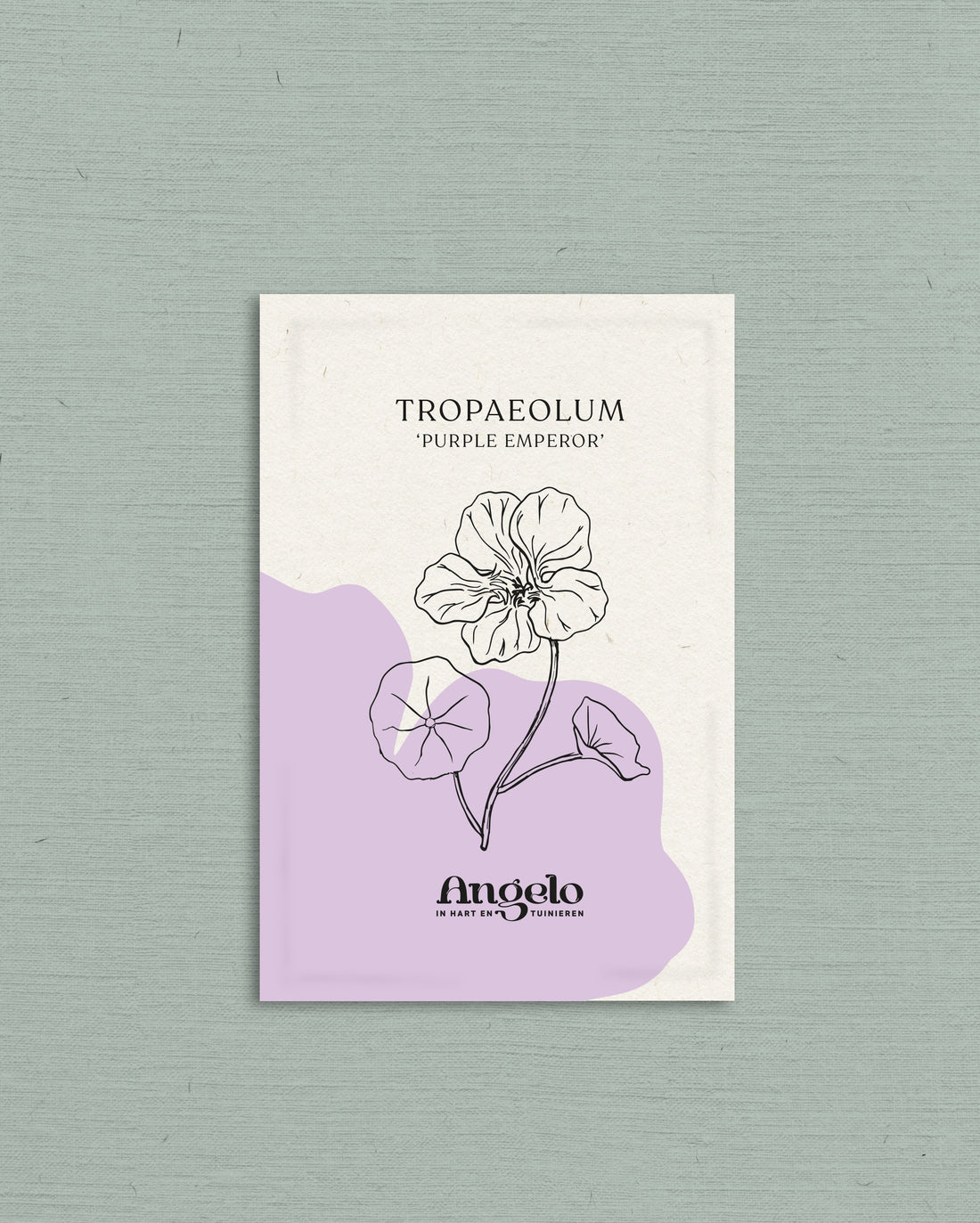 Tropaeolum majus &
