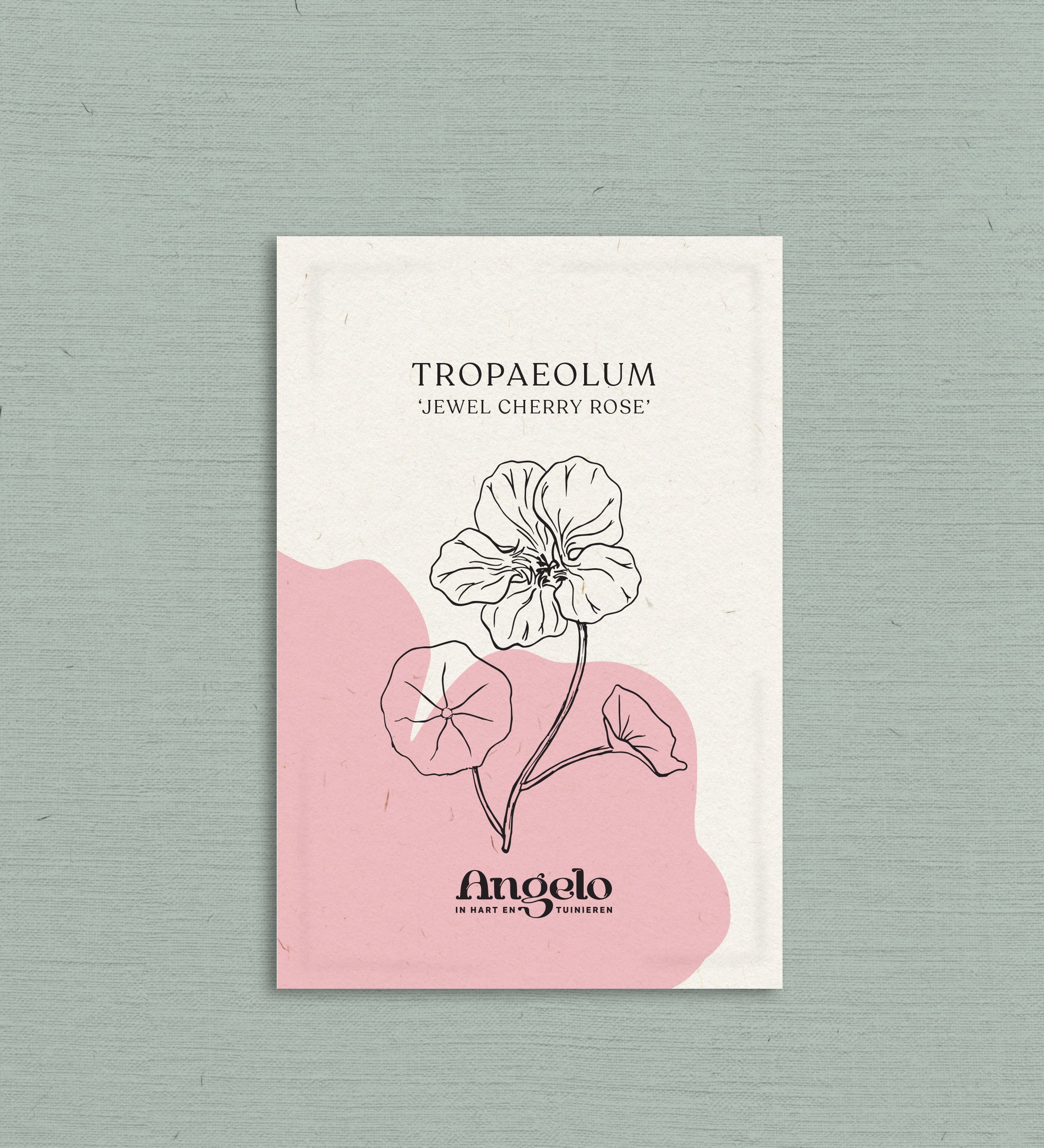 Tropaeolum minus 'Jewel Cherry Rose'-Angelo