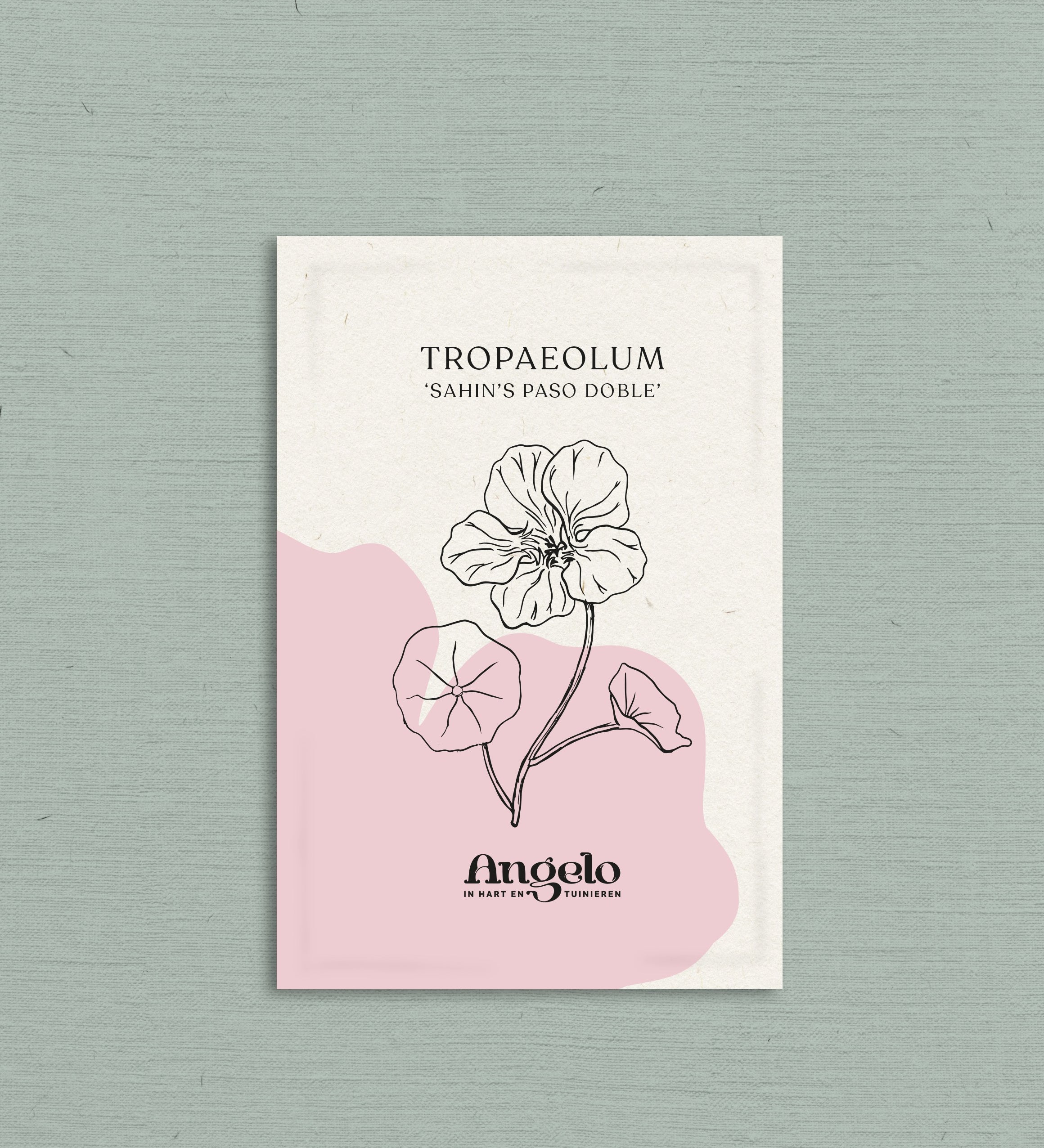 Tropaeolum minus 'sahin’s paso doble'-Angelo