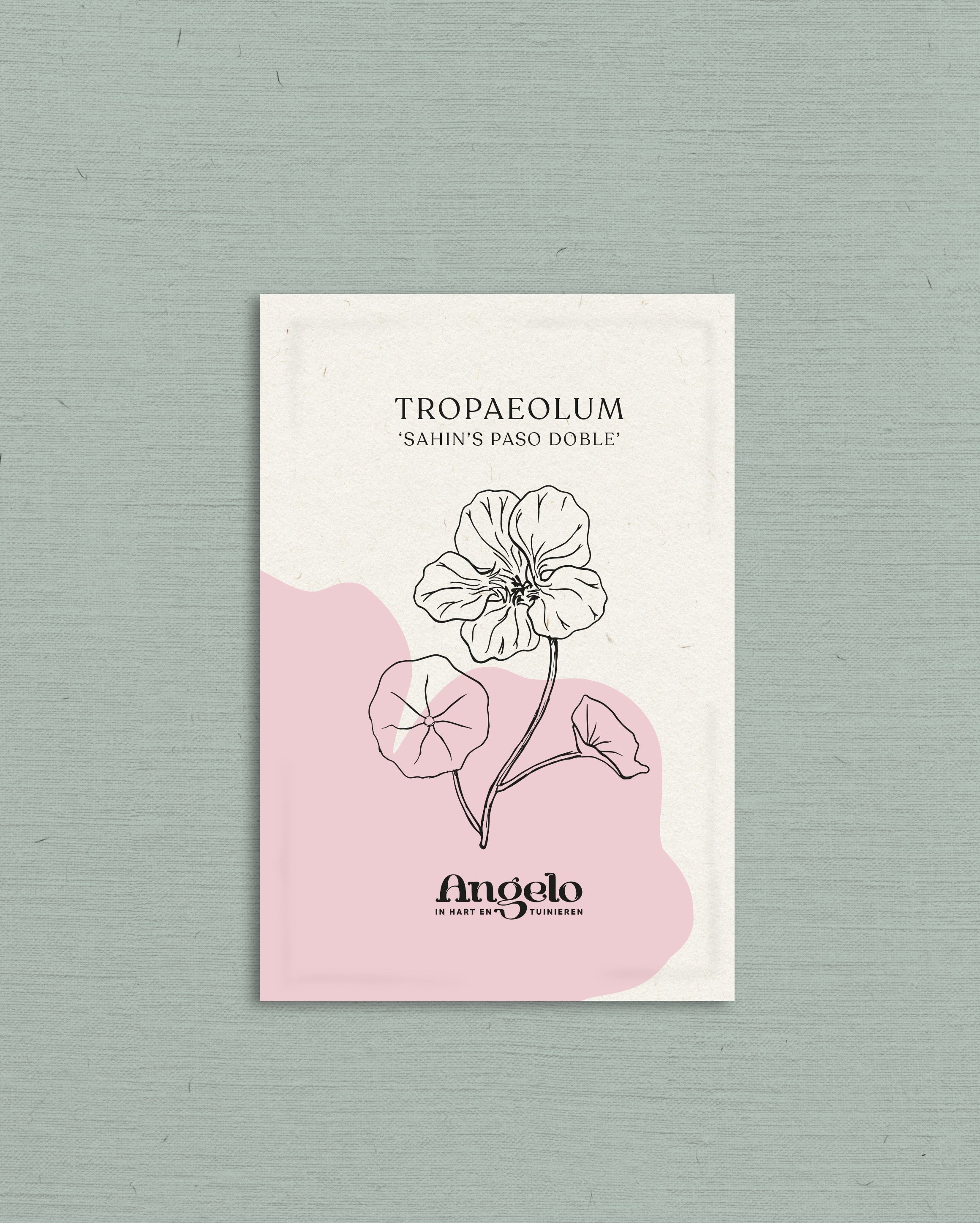 Tropaeolum minus 'sahin’s paso doble'-Angelo
