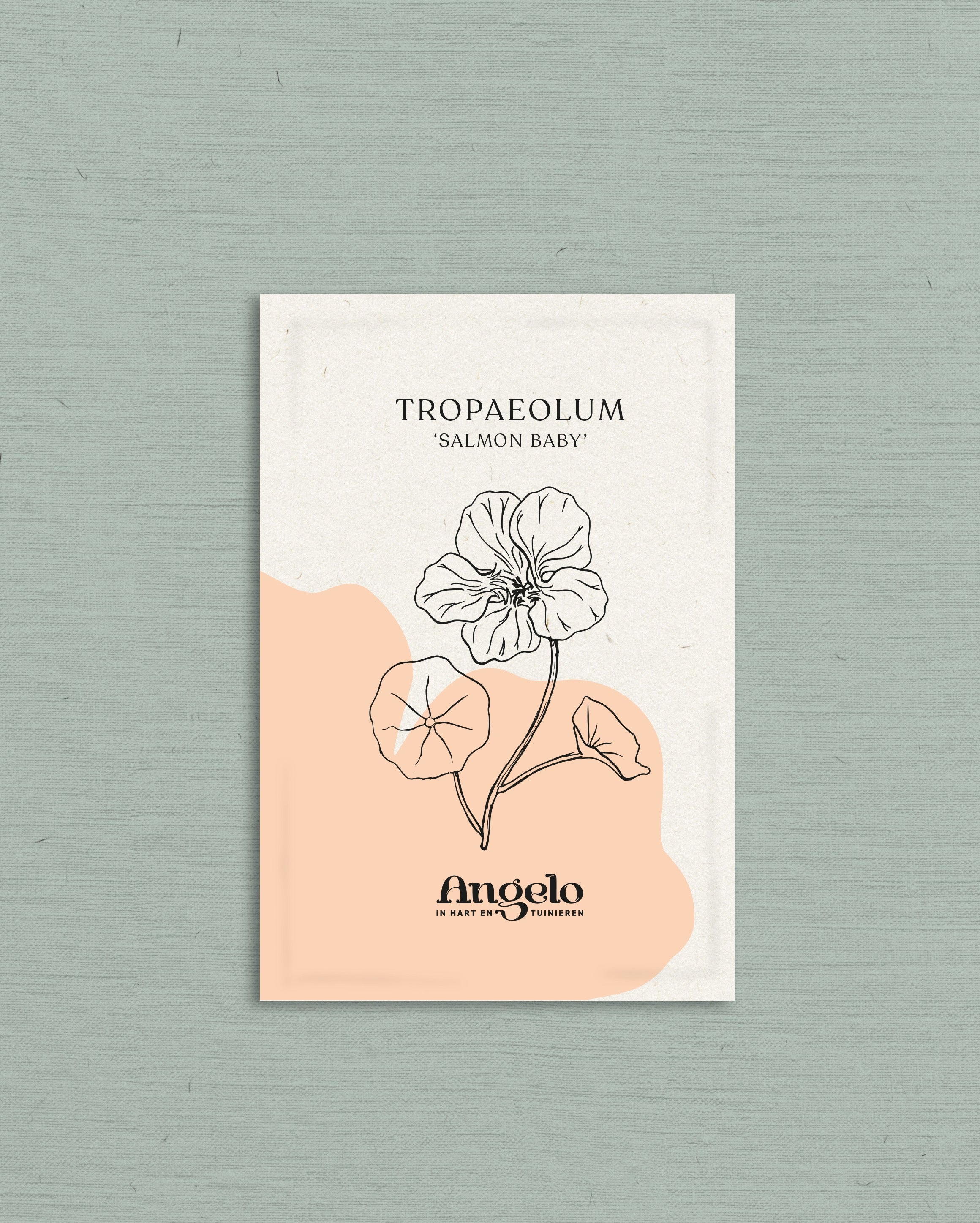 Tropaeolum minus 'salmon baby'-Angelo