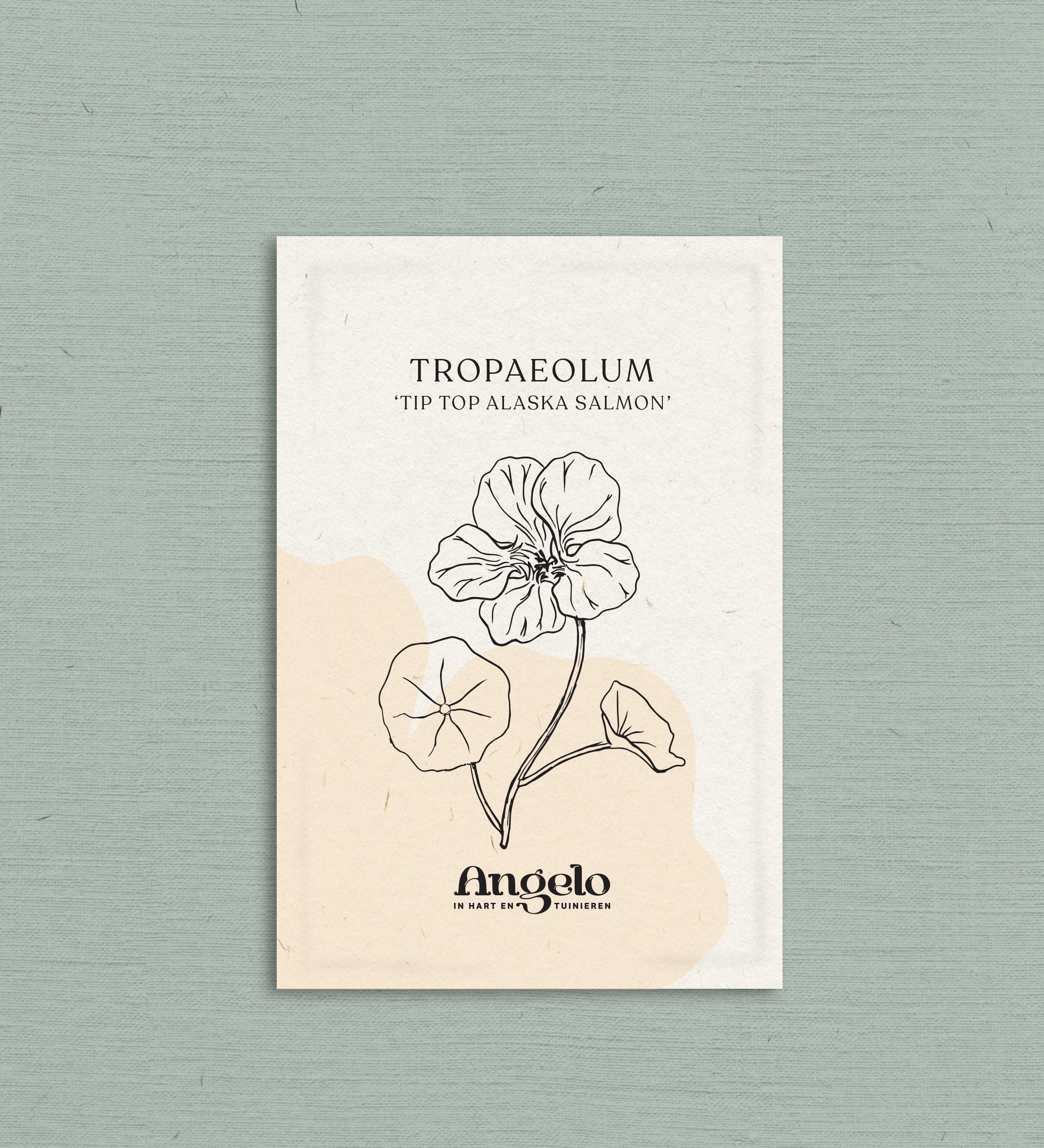 Tropaeolum minus 'Tip Top Alaska Salmon'-Angelo