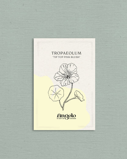 Tropaeolum minus &
