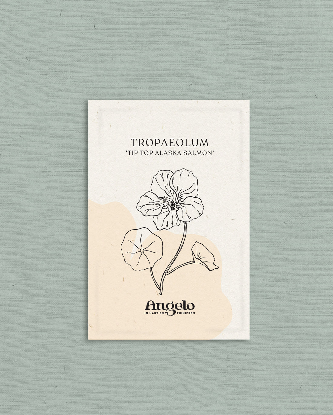 Tropaeolum minus &