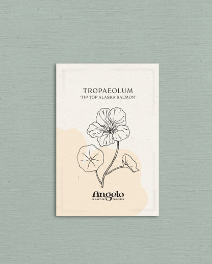 Tropaeolum minus &