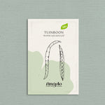 Tuinboon 'Super Aguadulce'-Angelo