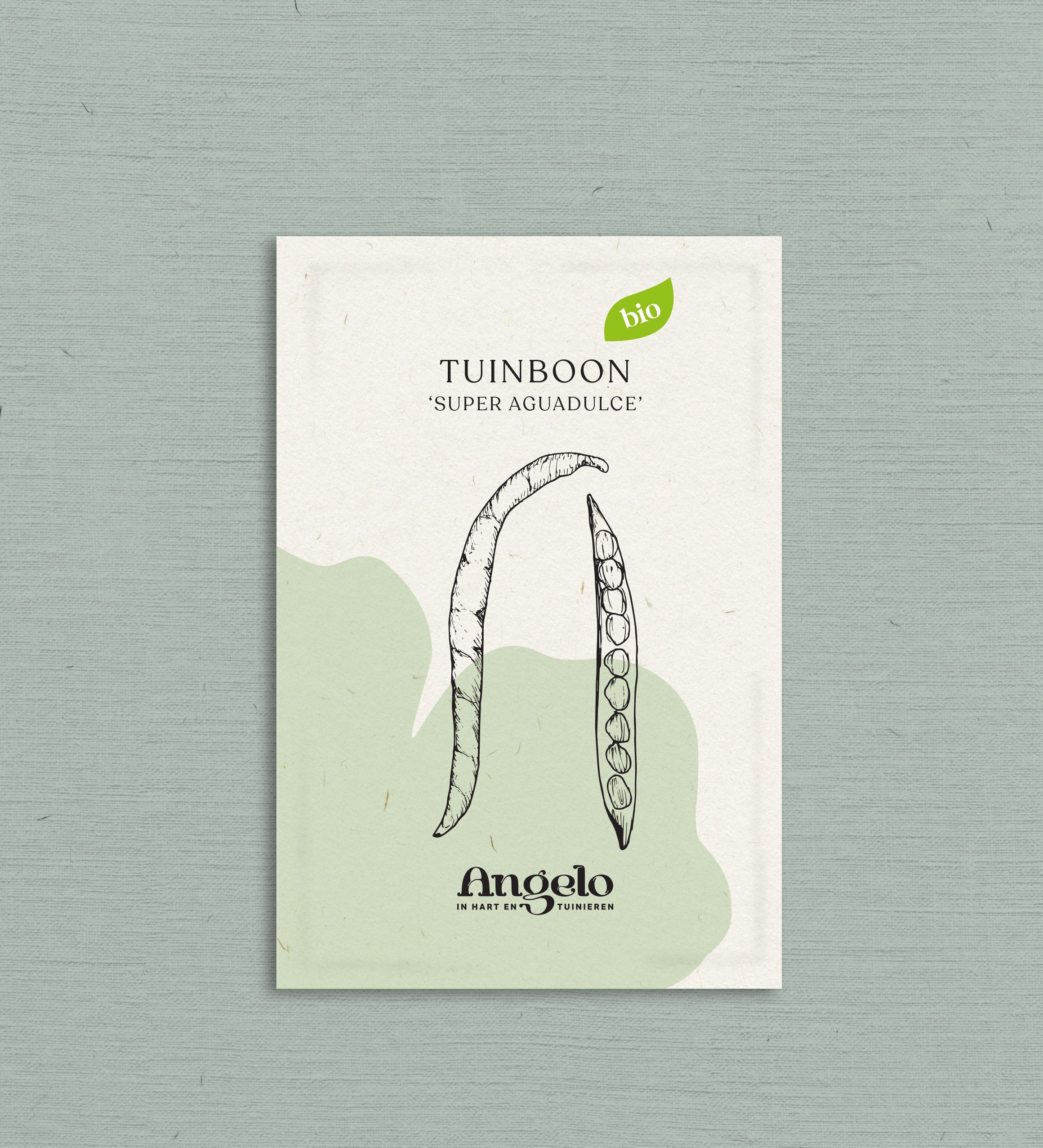Tuinboon 'Super Aguadulce'-Angelo