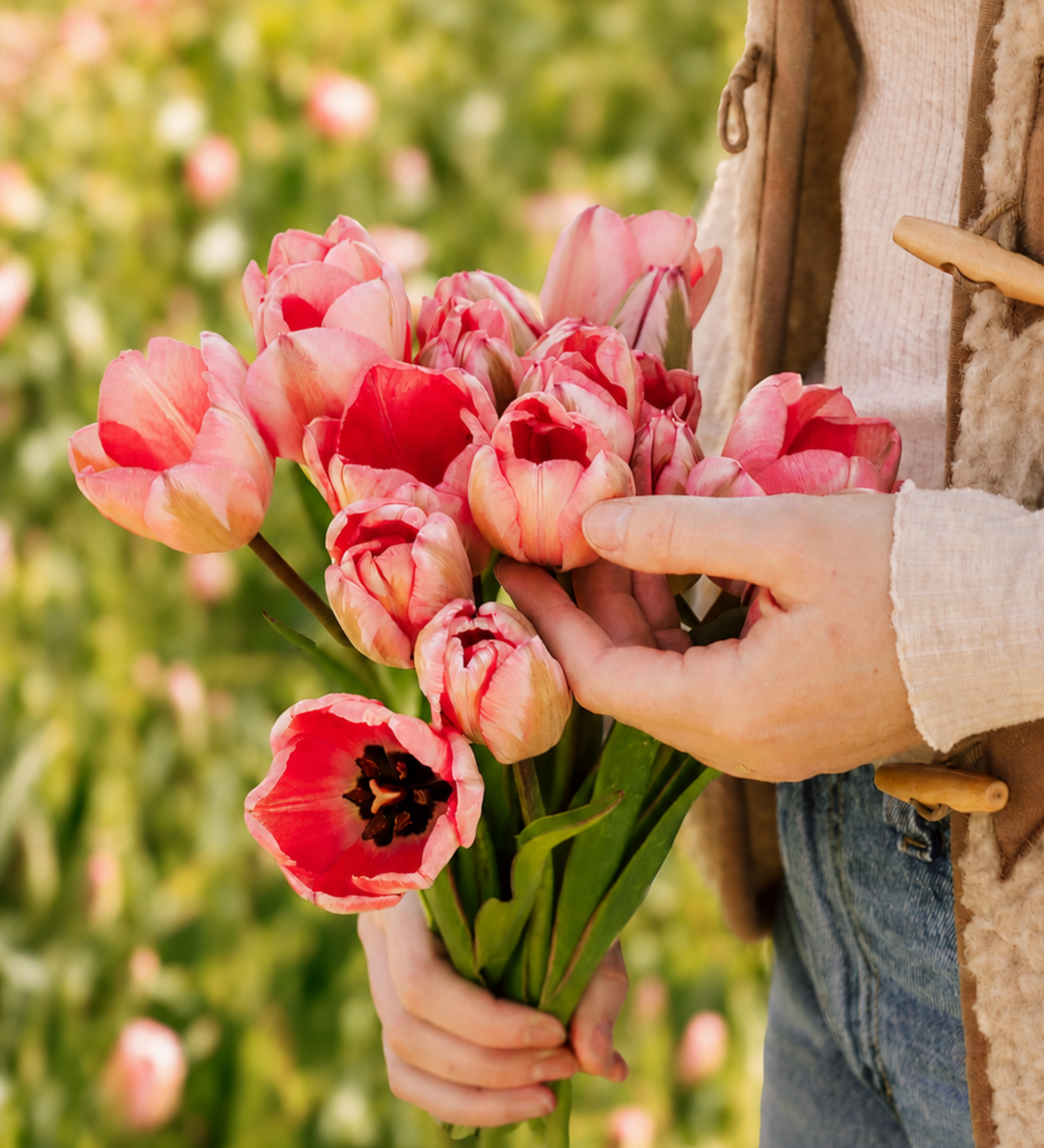 Tulp 'Design Impression' BIO