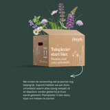 Verzendinfo Angelo Dorny vaste planten