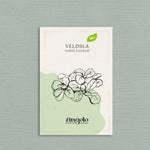 Veldsla 'Verte à Coeur'-Angelo