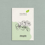 Veldsla 'Verte à Coeur'-Angelo