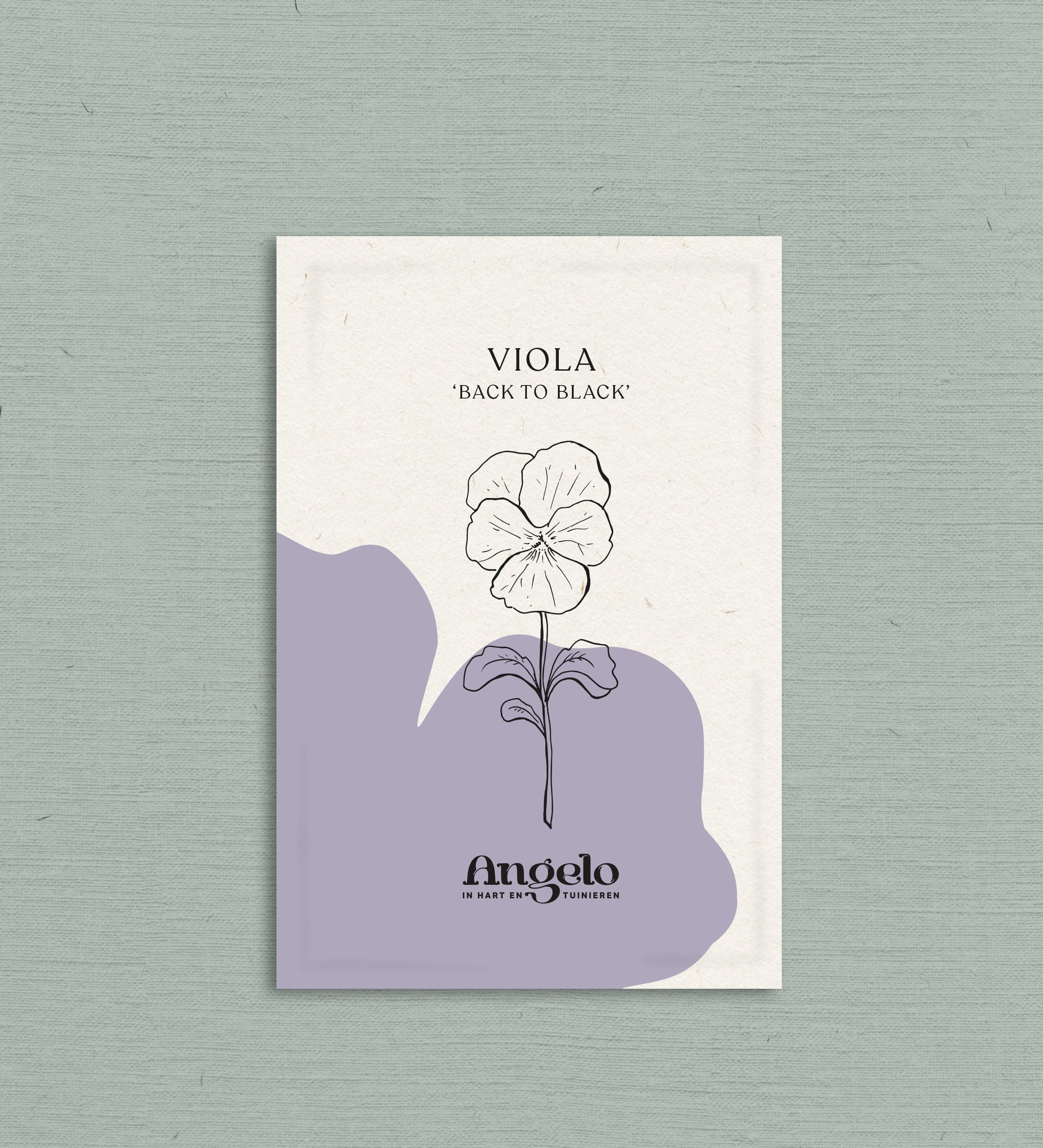 Viola cornuta 'back to black'-Angelo