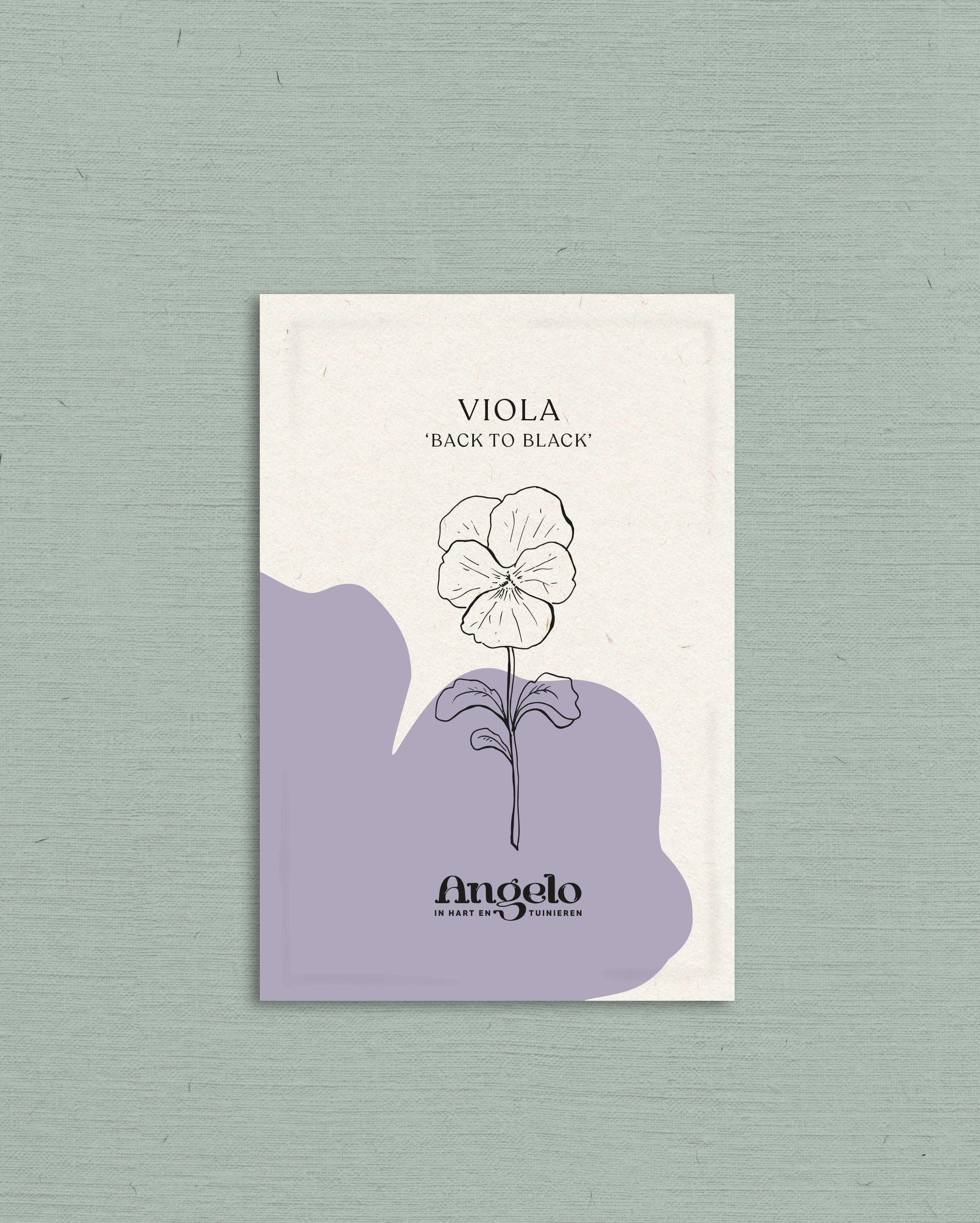 Viola cornuta 'back to black'-Angelo