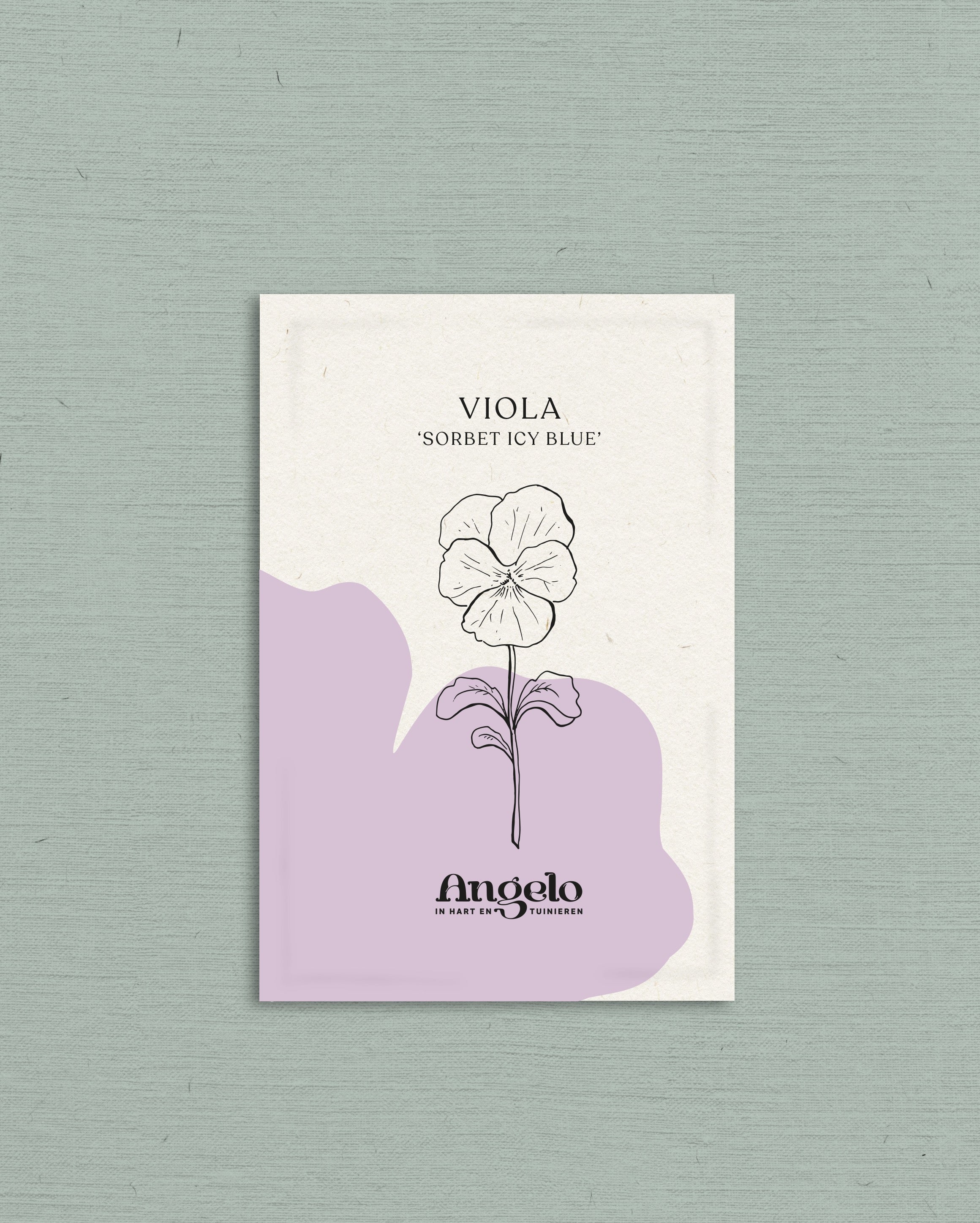 Viola cornuta 'sorbet icy blue'-Angelo