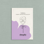 Viola cornuta 'sorbet orchid rose beacon'-Angelo
