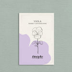 Viola cornuta 'sorbet xp lavender pink'-Angelo